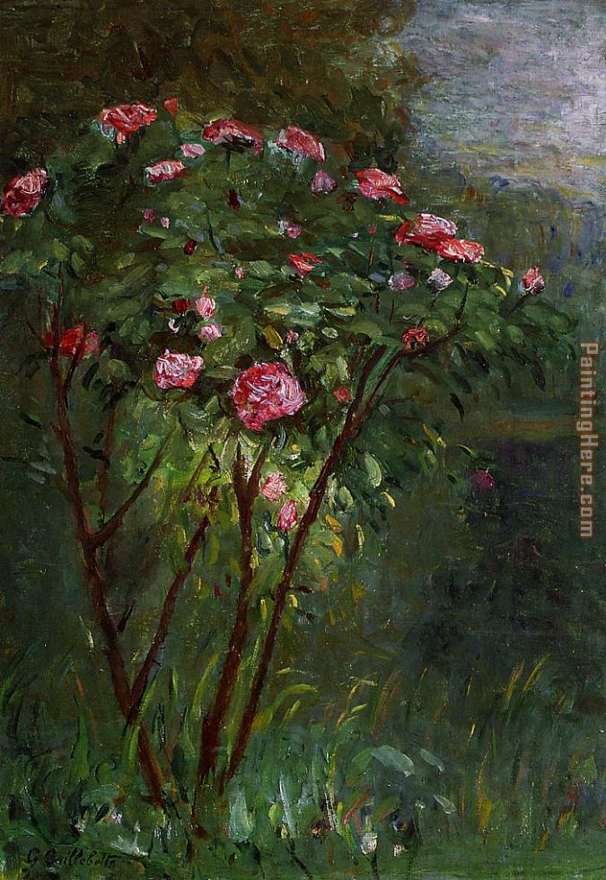 Rose Bush in Flower painting - Gustave Caillebotte Rose Bush in Flower art painting